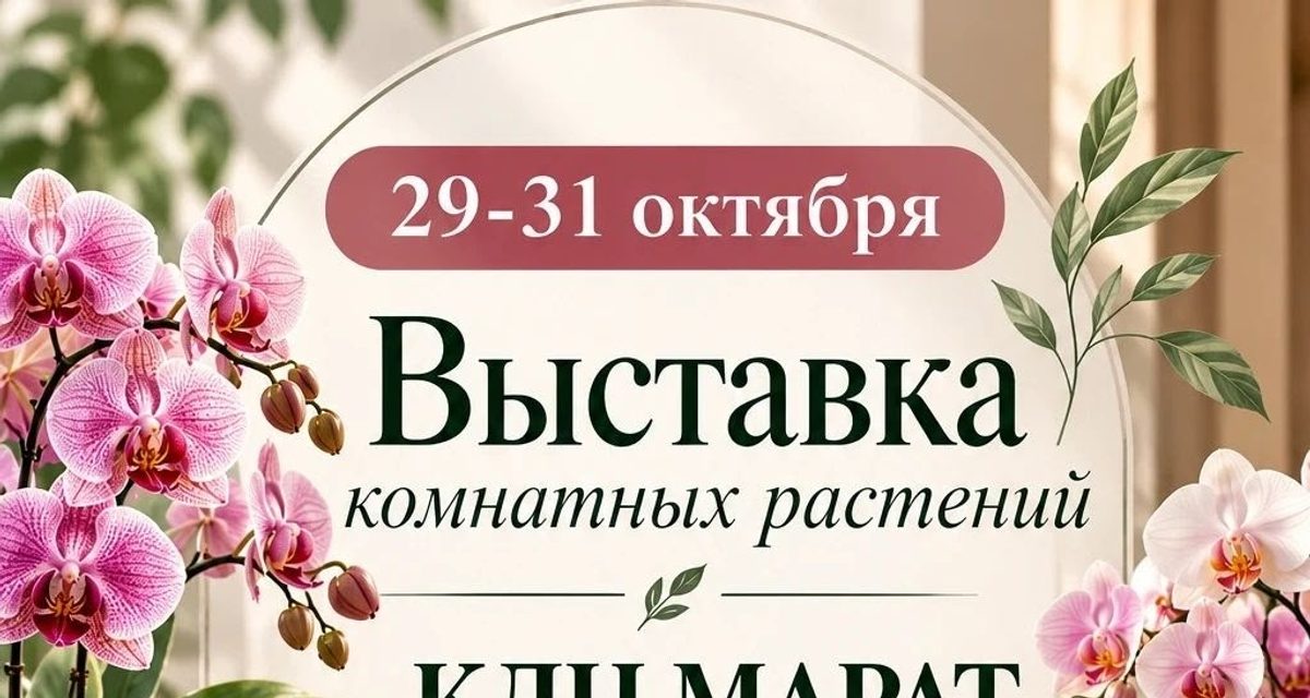 Двадцать цветоводов покажут мини-фиалки и суккуленты на бесплатной выставке в «Марате»