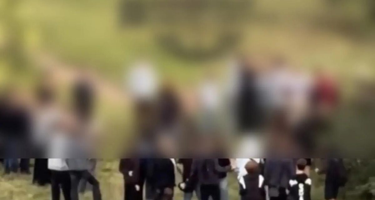 В Братске подростки подрались на Бульваре Победы, полиция проводит проверку