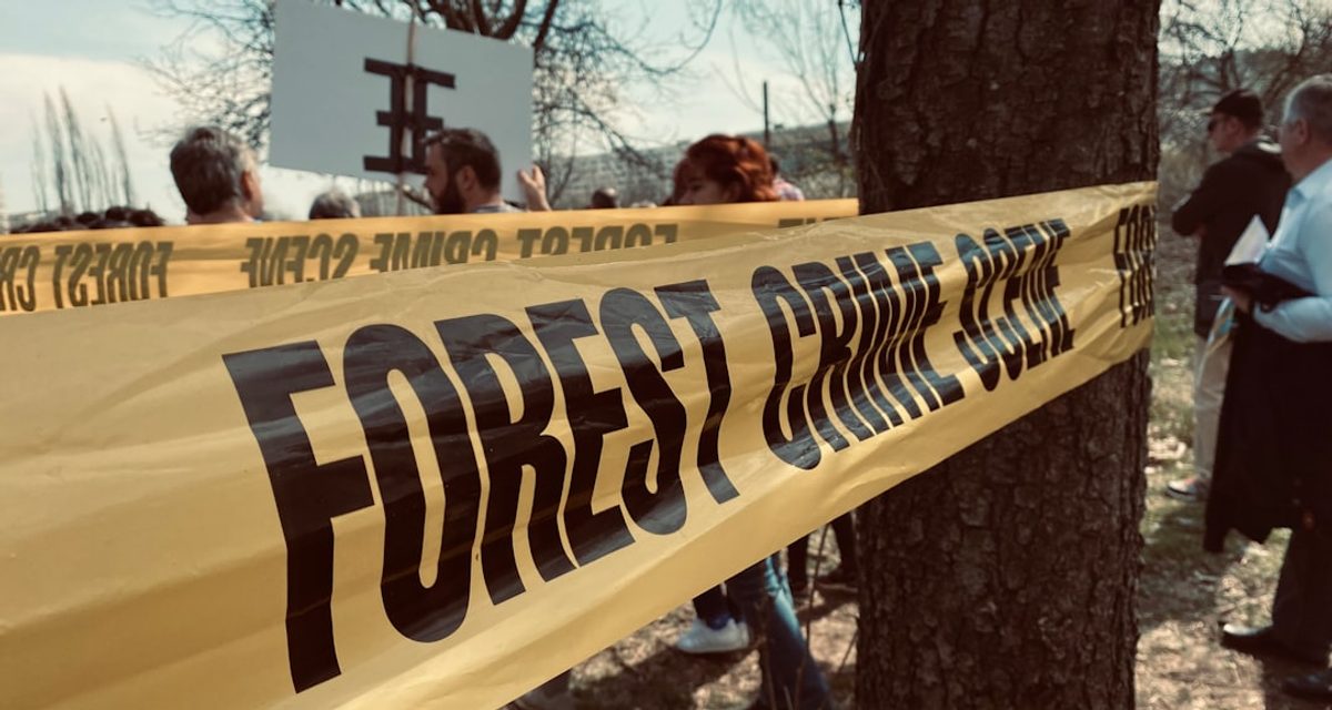 Иркутянина заманили в лес под Тальцами и заставили оформить кредит на 100 тысяч — троих задержали