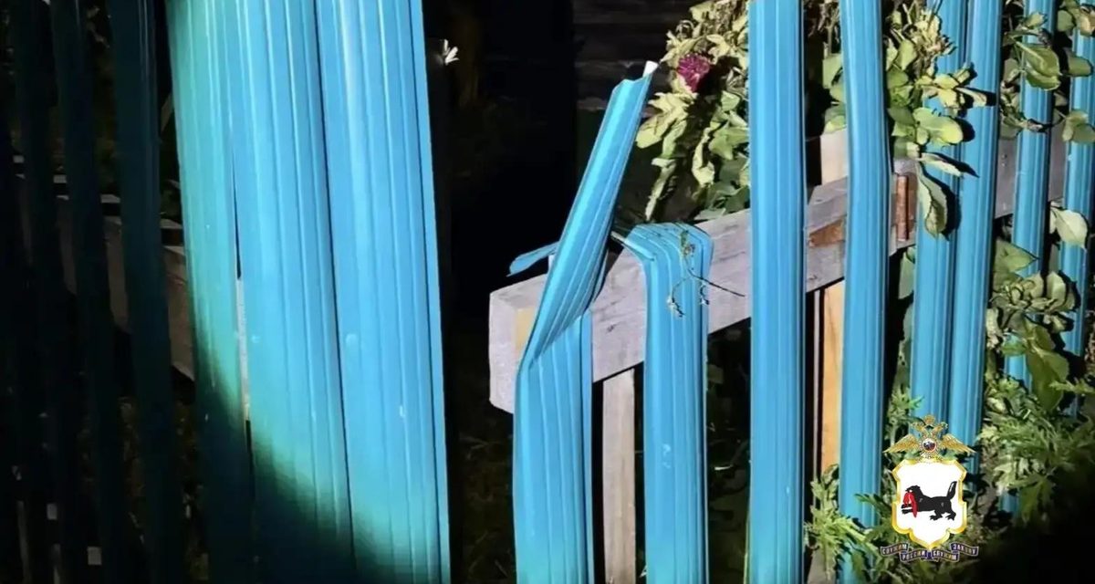 Четверых жителей Заларинского района подозревают в поджоге сена и краже мотоцикла из мести за свинью