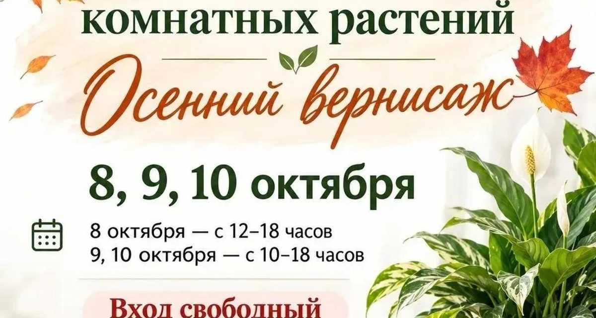 Редкие фиалки и кактусы из семян бесплатно покажут три дня в Иркутске